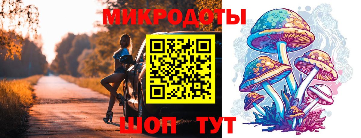 Псилоцибиновые грибы Psilocybe  Вход с VPN  Сертолово 